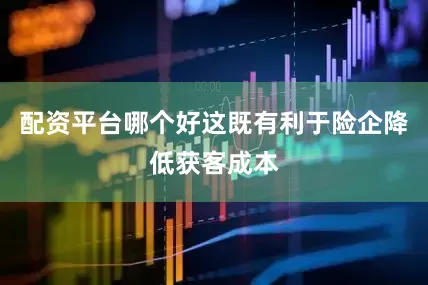 配资平台哪个好这既有利于险企降低获客成本